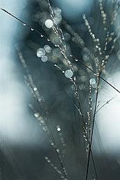 《英雄传说：黎之轨迹2》Switch中文版宣布 8月29日发售